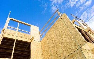 Riding Homes vs. DIY Home Building: Benefits of Partnering with Southern Utah Valley’s Premier Home Builder